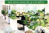 TẦM NHÌN - SỨ MỆNH NATUMART