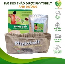Đai đeo thảo dược cao cấp Phytobelt trị liệu vai cột sống, đau lưng, thoát vị đĩa đệm đau xương khớp NATUMART
